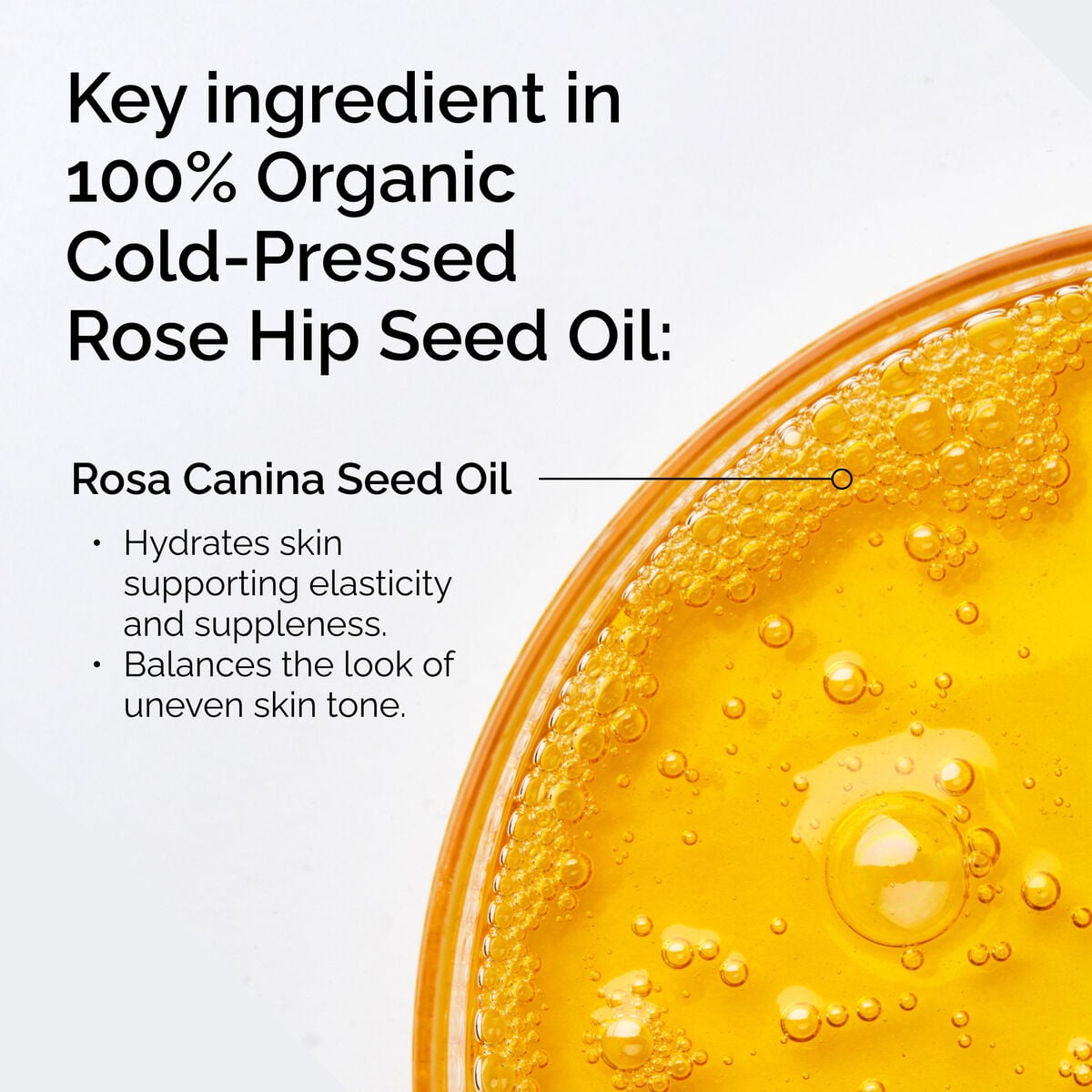 100-organic-cold-pressed-rose-hip-seed-oil-v8 FY25-D41247-ORD-Web-PDP-100-Rose-Hip-Oil-1x1-EN-2.jpg