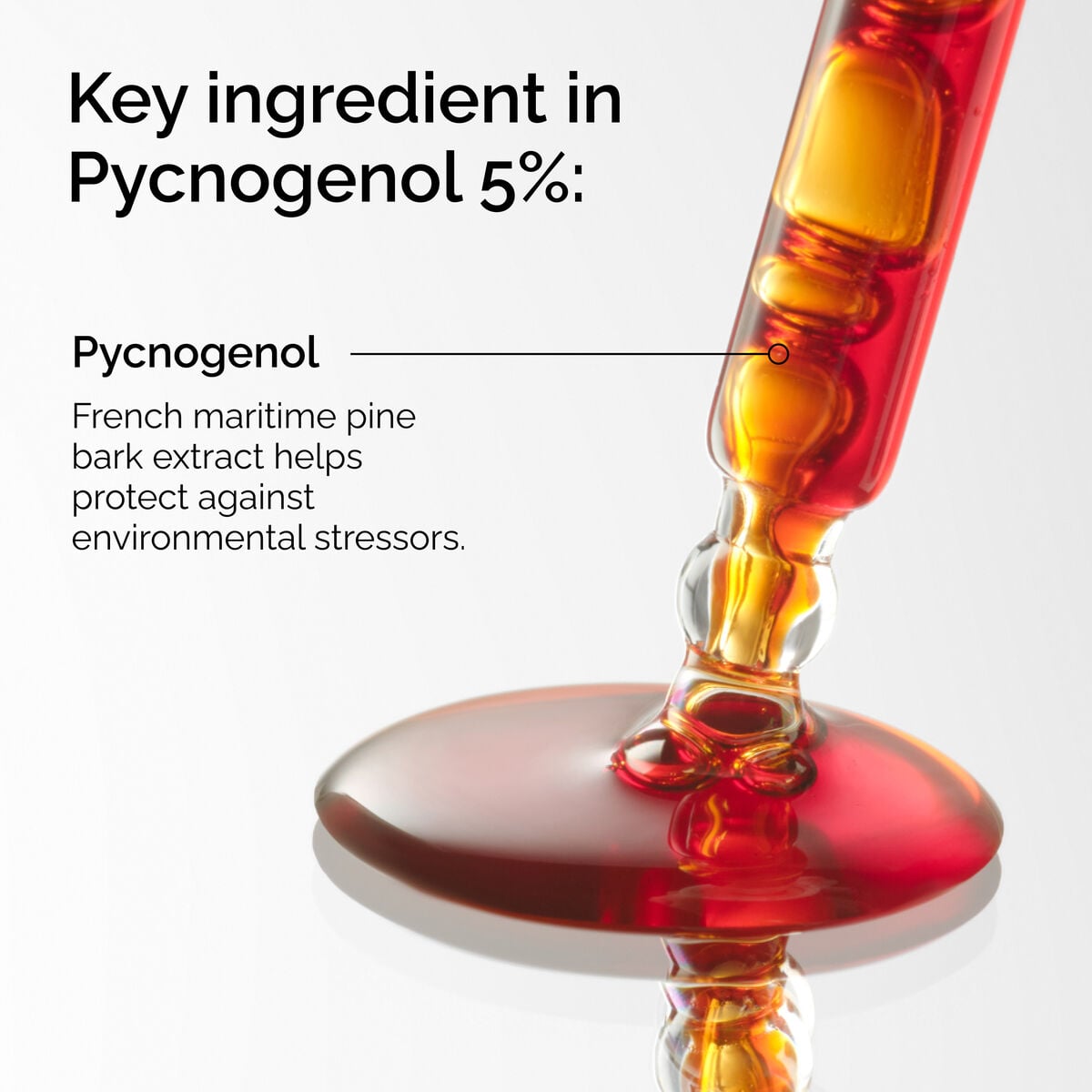 pycnogenol-5-b4 FY25-D41247-ORD-Web-PDP-Pyc-5pct-1x1-EN-2a.jpg