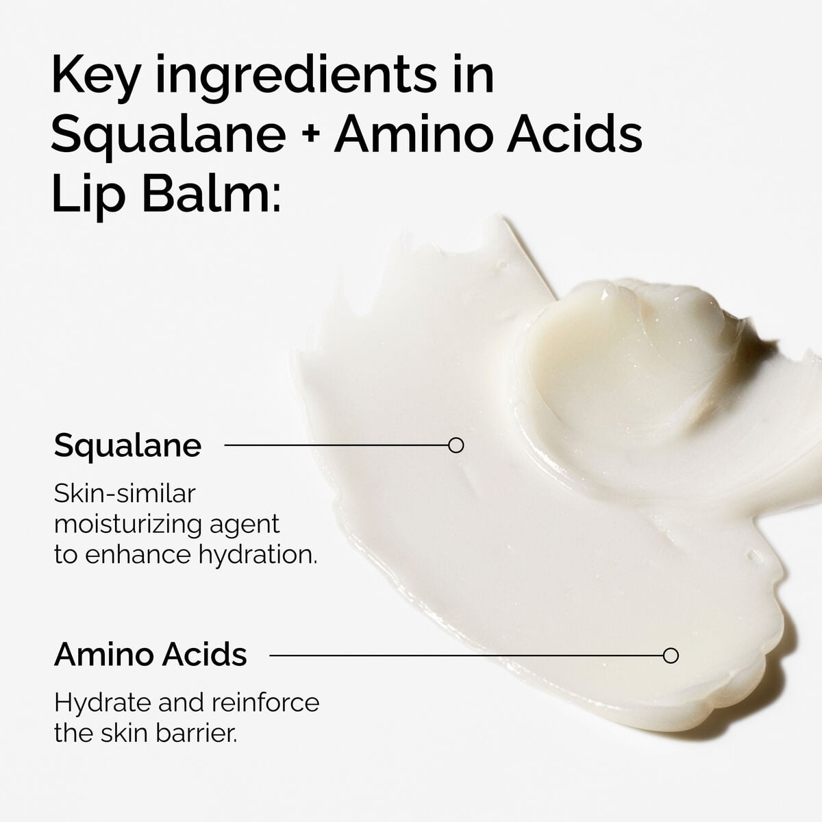 squalane-amino-acids-lip-balm-c7 FY25-D41247-ORD-Web-PDP-Sql-Amino-Lip-1x1-EN-2a.jpg